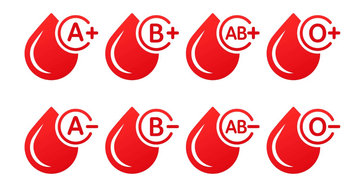 Rozdělení krevních skupin